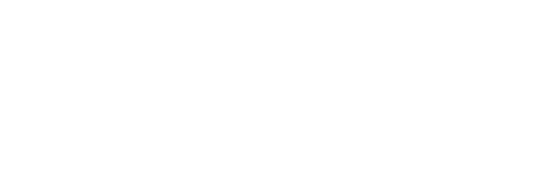 Partner Logo 4