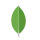 Logo von MongoDB